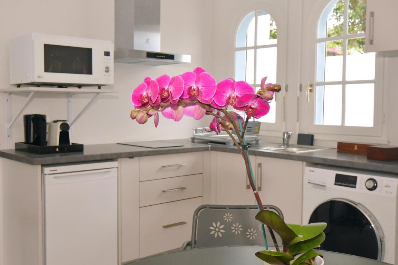 Le Jacaranda Du Guillaume Bed & Breakfast Le Guillaume Екстериор снимка