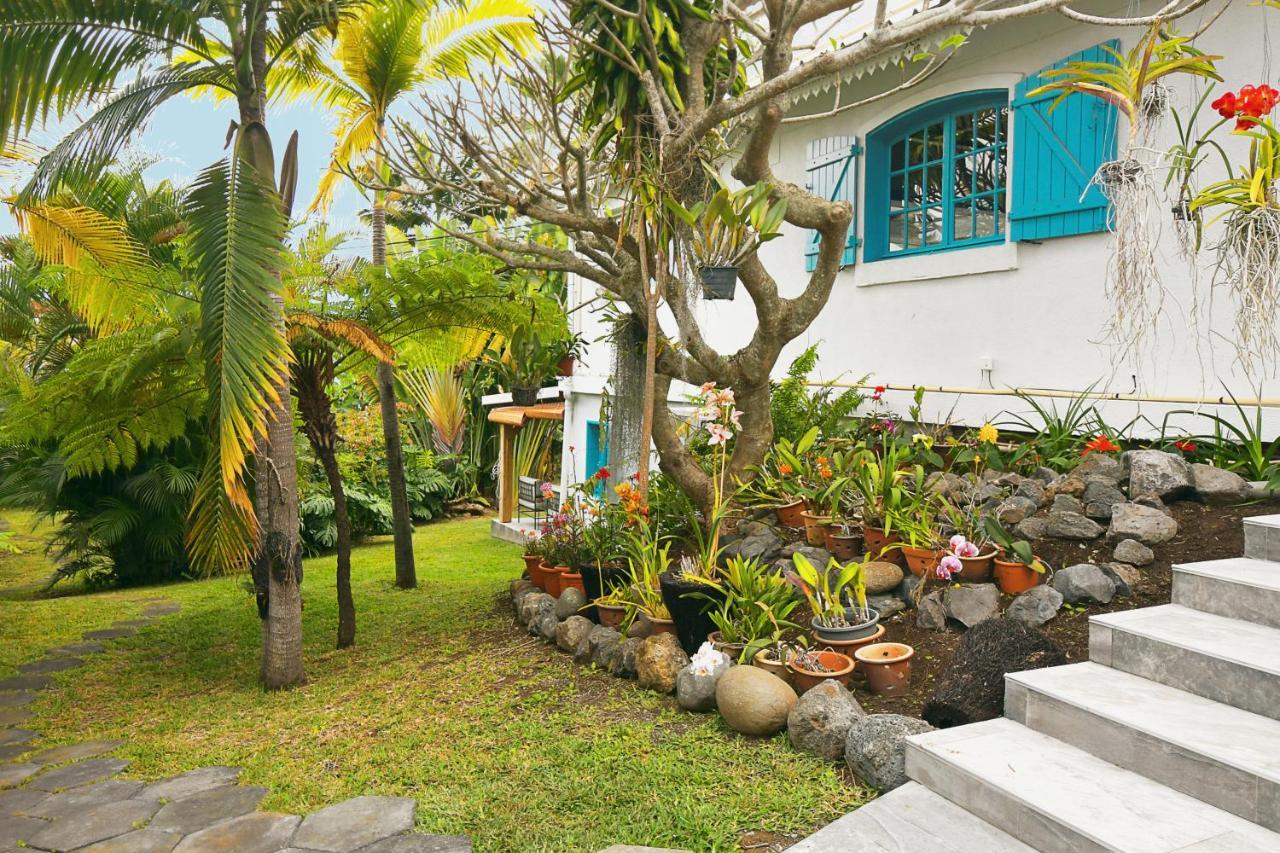 Le Jacaranda Du Guillaume Bed & Breakfast Le Guillaume Екстериор снимка